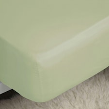 Belledorm Easycare Percale Fitted Sheet - Green Apple - 6ft 6in