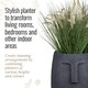 image 6 of Textured Concrete Effect Washed Black Oval Face Planter Indoor L30.5 D29.5 H29.5 cm, 13.9 ltrs Cap.