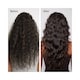 image 5 of Rosemary Hair Oil Co Castor & Camellia Root Renewal Hair Oil
