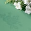 Seafoam Green