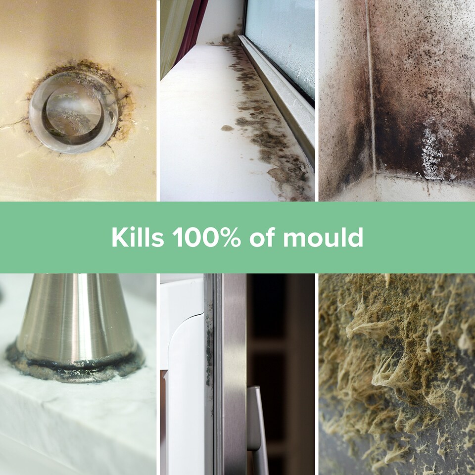 image 1 of Mould Master