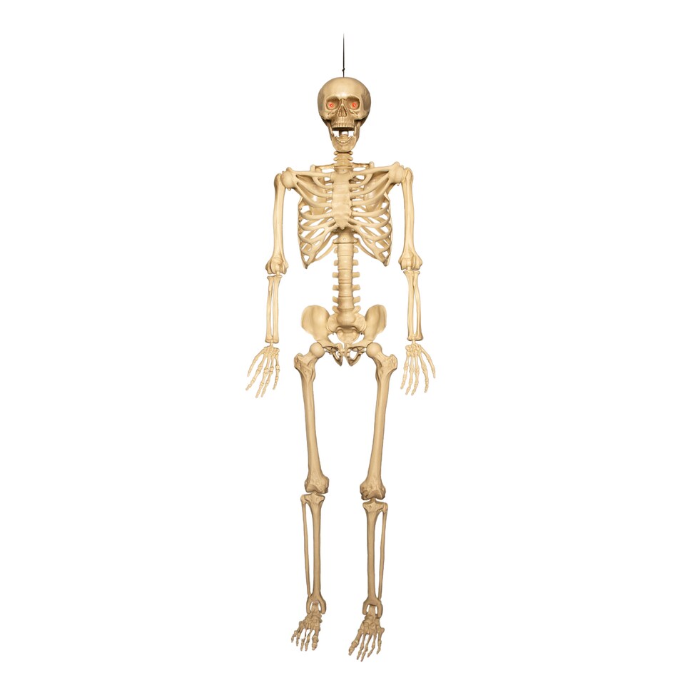 image 1 of 5ft (150cm) Posable Full Body Halloween LED Skeleton Decoration with Movable Joints and LED Eyes