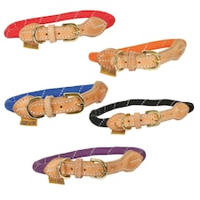 Shires Digby & Fox Reflective Dog Collar Black | Size: XX-Large
Colour: Black | XL