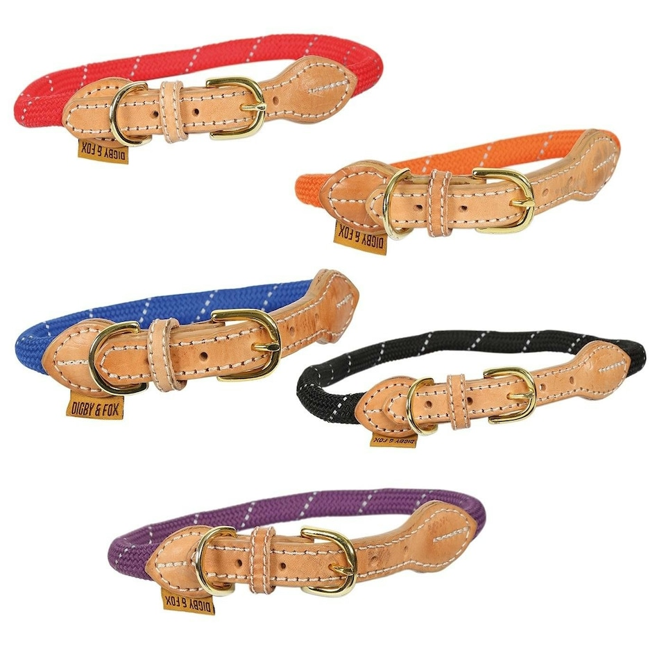 image 1 of Shires Digby & Fox Reflective Dog Collar Black | Size: XX-Large
Colour: Black | XL