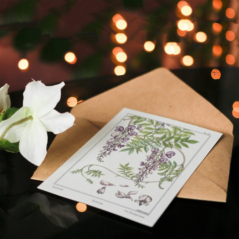image 1 of Maurice Pillard Verneuil Art Card Wisteria Flower