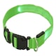 image 2 of Light Up Dog Collar - LED - Bunty Green | M