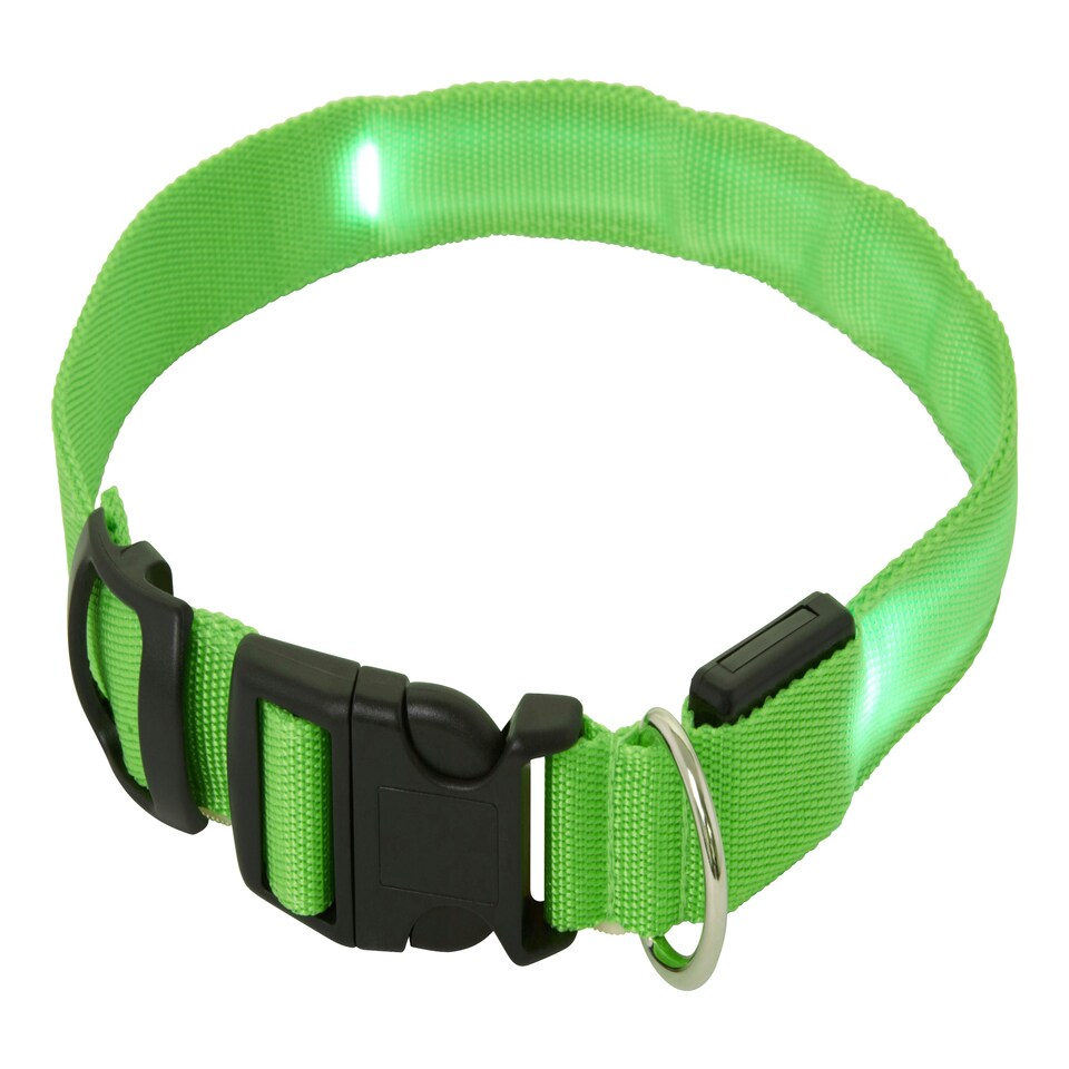 image 1 of Light Up Dog Collar - LED - Bunty Green | M