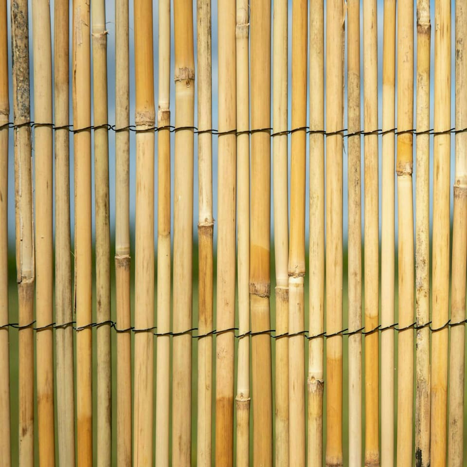 image 1 of Primrose Thick Reed Bamboo Style Natural Privacy Screening Roll Garden 4m x 1m