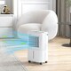 image 7 of HOMCOM 12L/Day Small Dehumidifier for Home Damp, with Humidity Light
