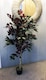 image 3 of 120cm (4ft) Artificial Dark Red Green Ficus Plant - Extra Large | Red | 4ft