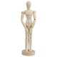 image 1 of 3 x 12" Artists Wooden Manikin Male Figure Craft Moveable Adjustable Art Mannequin
