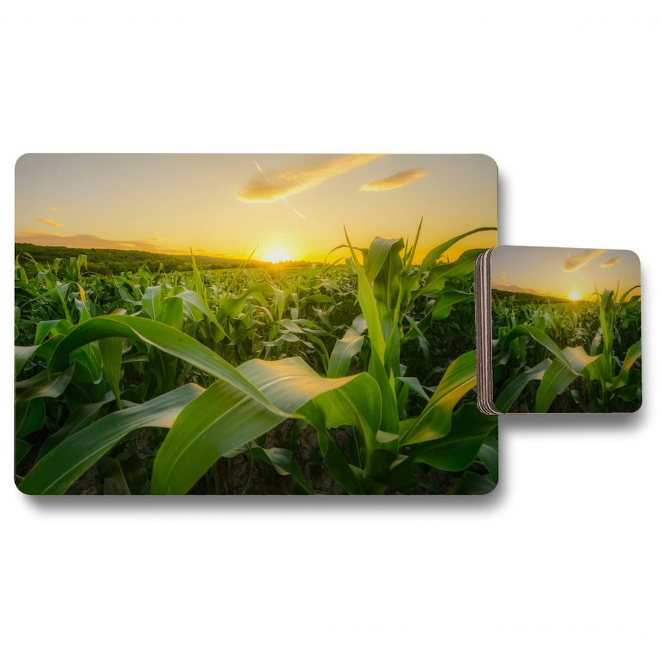 image 1 of Young green corn growing on the field at sunset (Placemat & Coaster Set) (Placemat & Coaster Set)