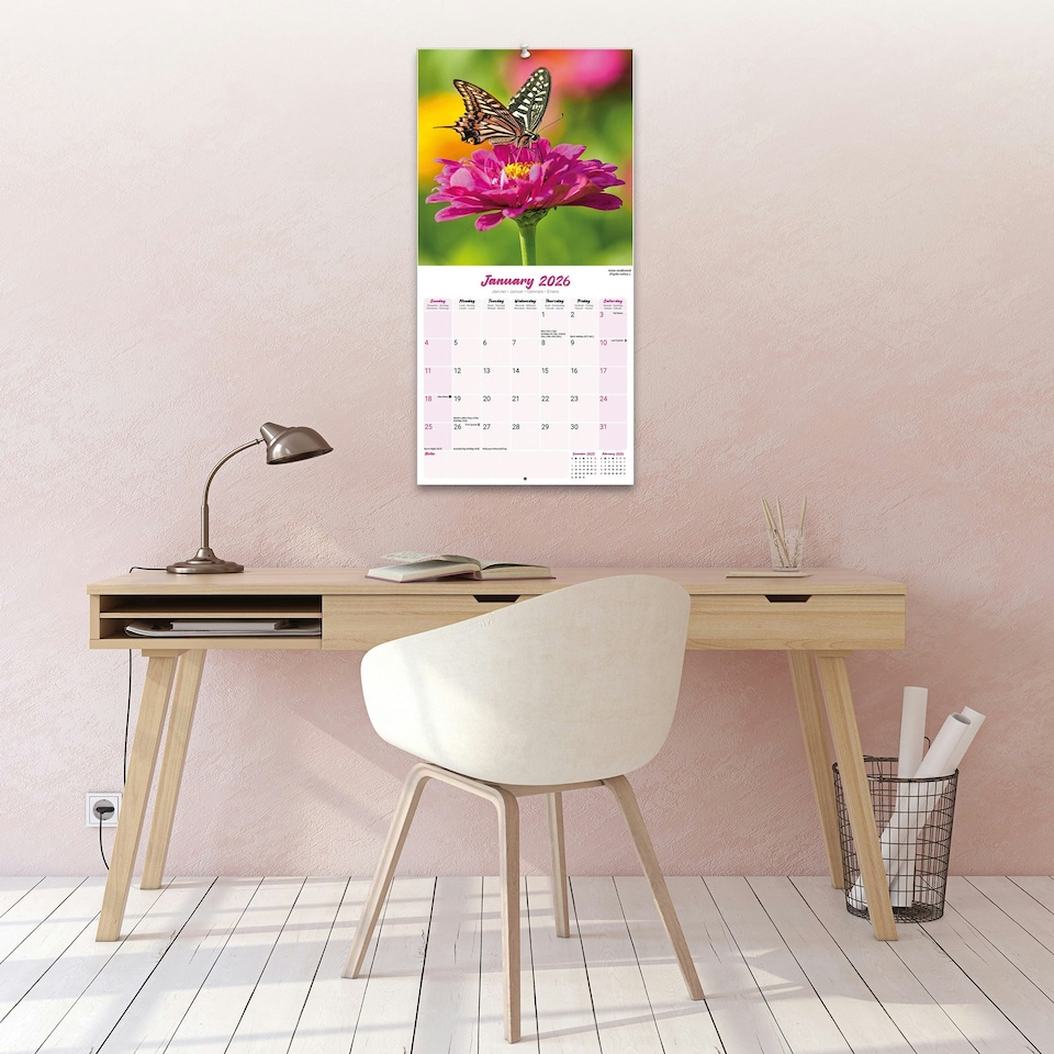 image 1 of Butterflies 2026 Calendar | Square Wall Calendar | Animal Gift | Plastic Free Packaging | by Avonside Publishing