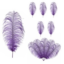 50cm - 60cm Large Ostrich Feathers, Showgirl Spadones - 5pcs