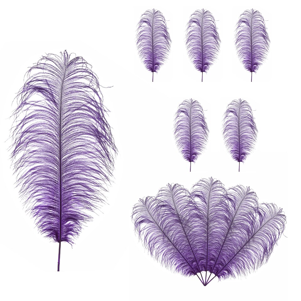 image 1 of 50cm - 60cm Large Ostrich Feathers, Showgirl Spadones - 5pcs