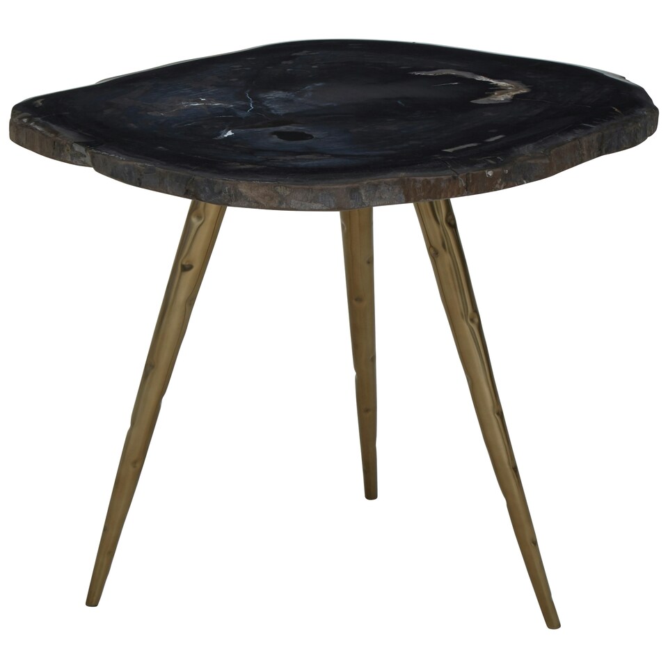 image 1 of Relic Side Table With Petrified Wood Top and Brass Finish Legs Brown