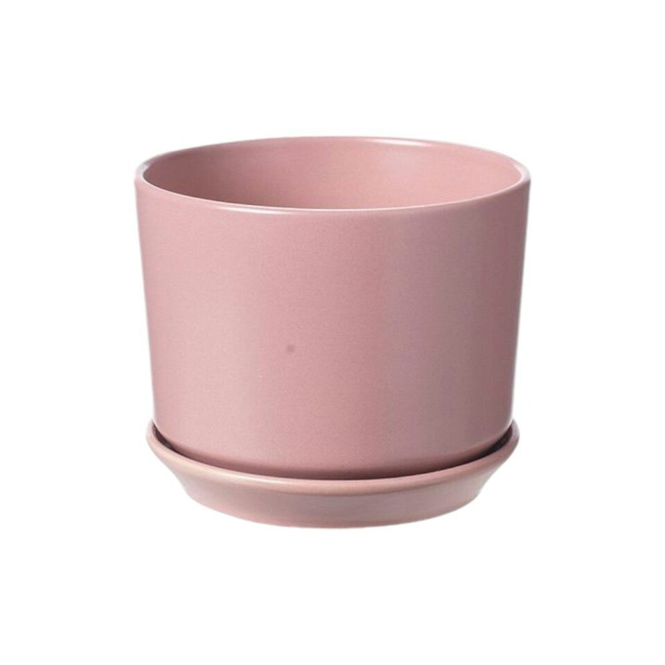 image 1 of Wisteria Ceramic Indoor Plant Pot With Attached Saucer - H10.5cm