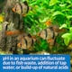 image 6 of API pH Test & Adjuster Kit Tests & Balances Aquarium pH Levels Quickly Water Treatment & Test Kit