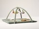 image 2 of 2-in-1 Baby Playmat & Activity Gym