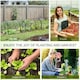 image 4 of Outsunny Tunnel Greenhouse Steel Frame for Garden Backyard w/ Zipper Doors