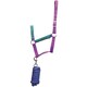 image 1 of Thelwell Pony Friends Horse Headcollar - Imperial Purple/Pacific Blue - Pony