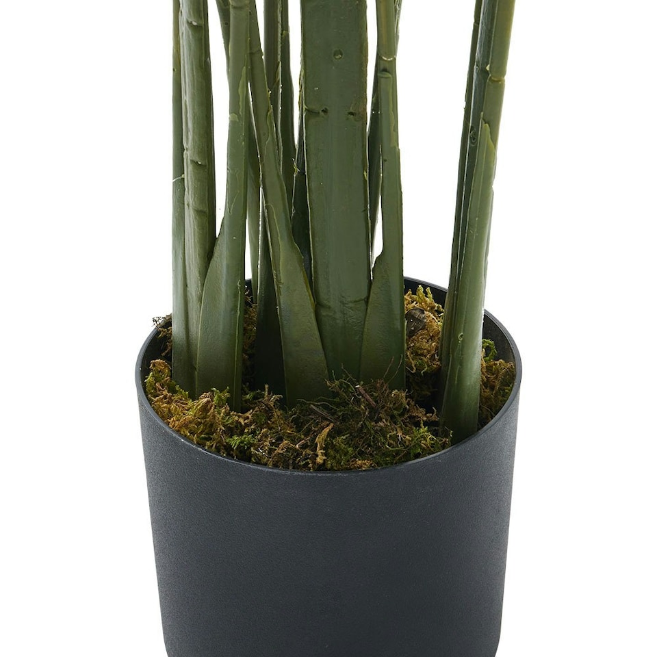 image 1 of Living and Home 180cm Artificial Bird of Paradise Plant Fake Tropical Tree in Pot