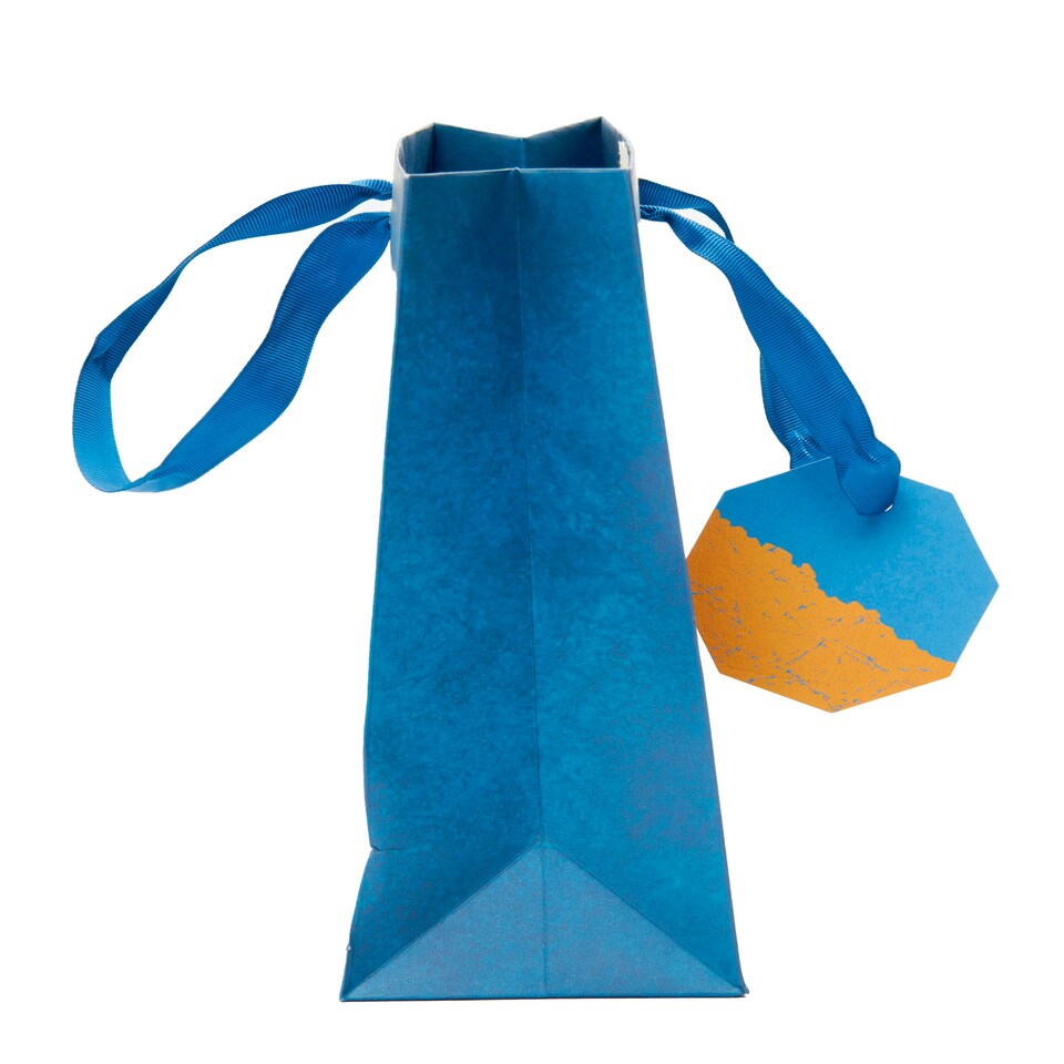 image 1 of Multipack of 3 Medium Gift Bags | Party Bags for Presents | Birthdays | For Him | Blue Design