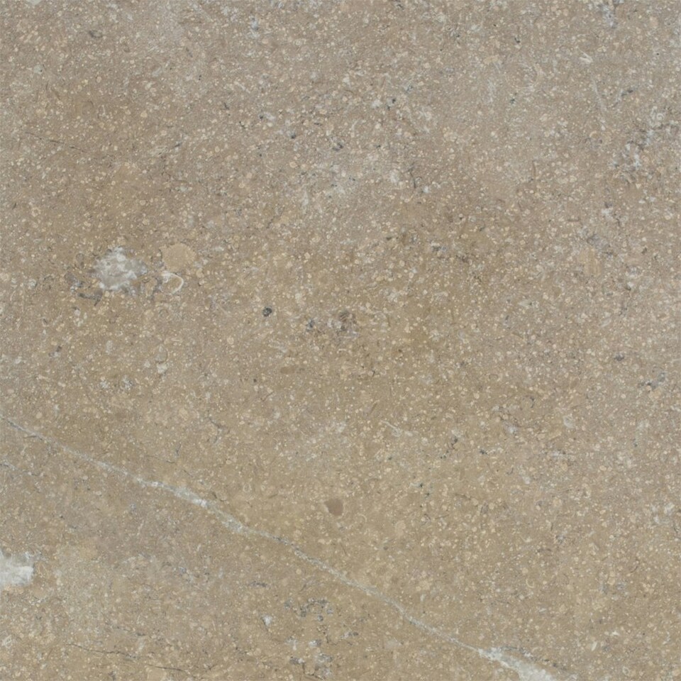 Fossil Pearl Tumble Grip Limestone 20ft x 40ft Natural Stone Coping Kit