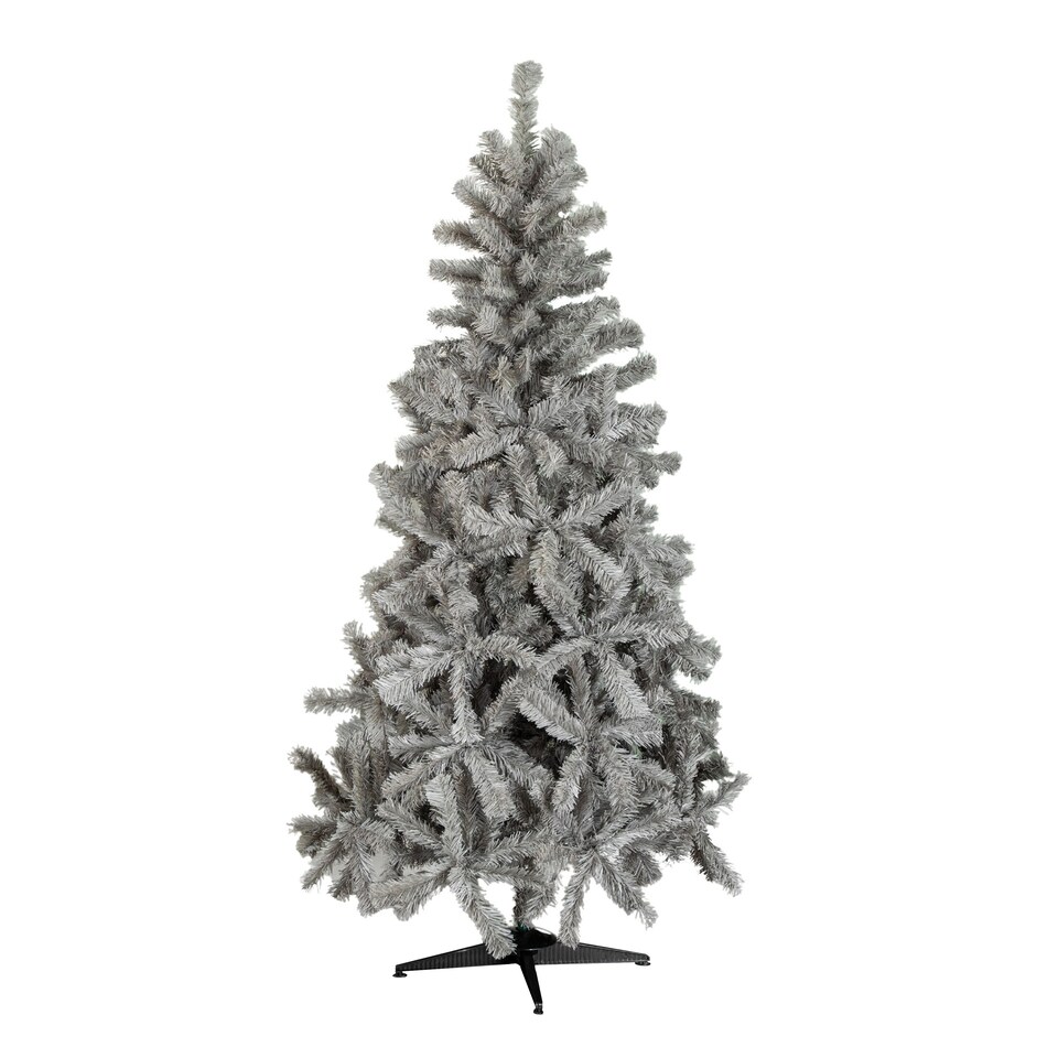 image 1 of 6ft (180cm) Colorado Grey Spruce Christmas Tree with Wrapped Branches & 483 Tips