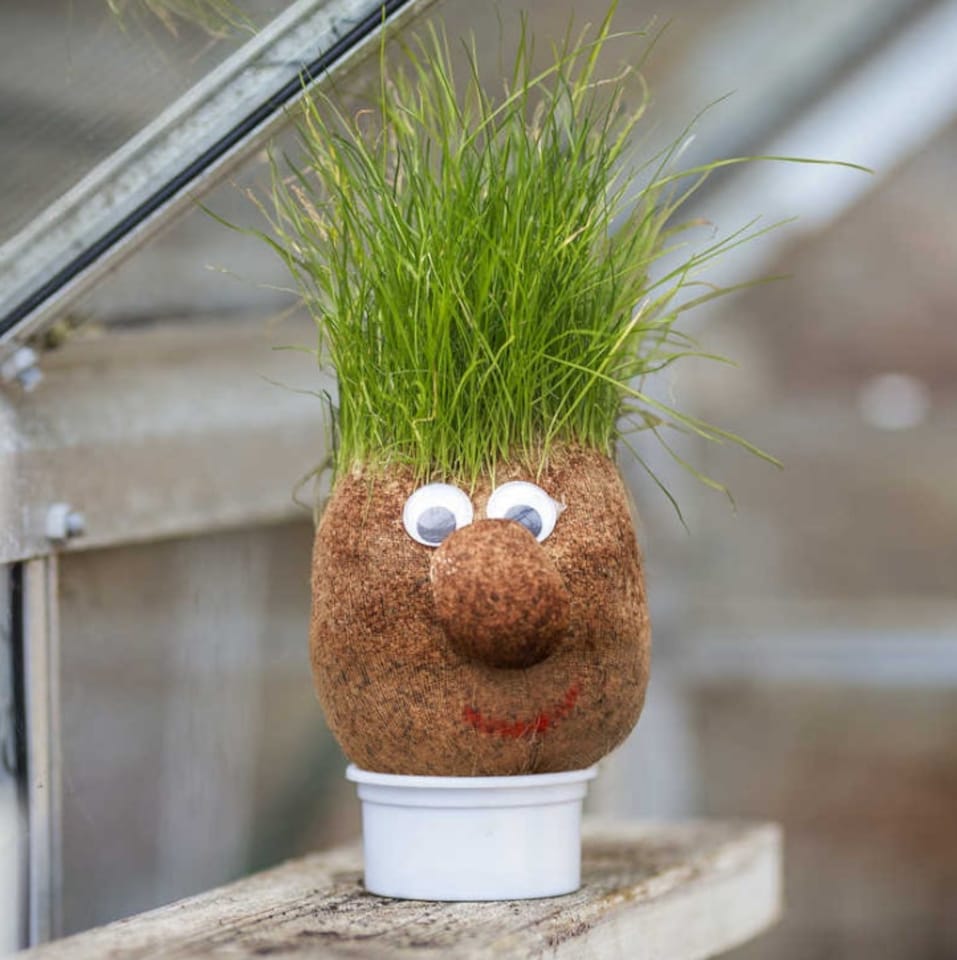 image 1 of Mr Grasshead