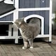 image 8 of PawHut Wooden Outdoor Cat House w/ Flower Pot, Windows, Multiple Entrances