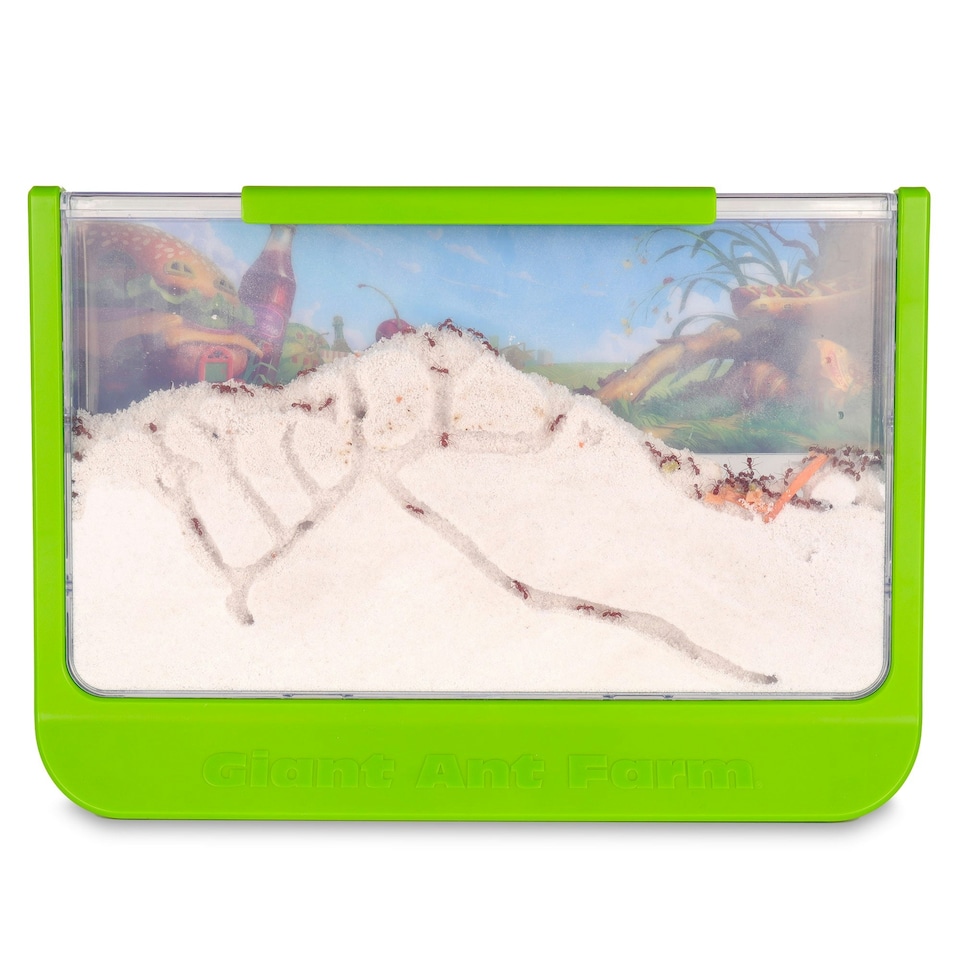 image 1 of Giant Ant Farm