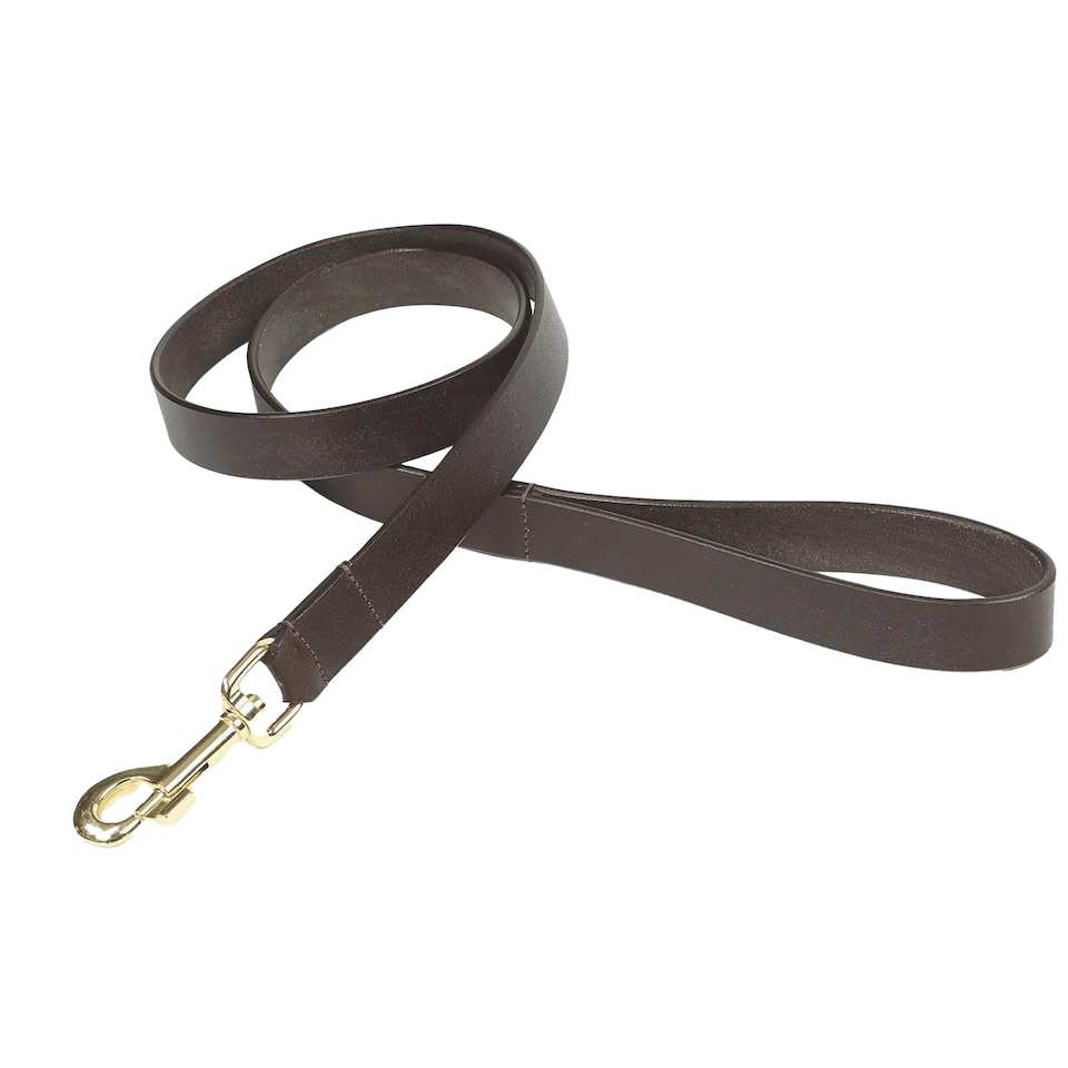 image 1 of Digby & Fox Flat Leather Dog Lead - Brown - L