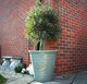 image 5 of JSH Olive Planter 75L Ceramic Look Round Plastic Flower Pot Frost & UV Resistant 30cm Round - Grey