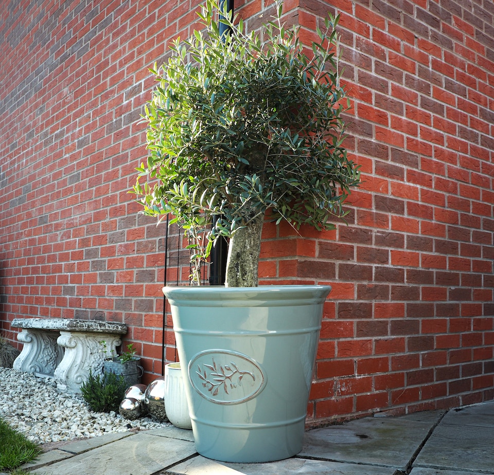image 1 of JSH Olive Planter 75L Ceramic Look Round Plastic Flower Pot Frost & UV Resistant 30cm Round - Grey