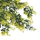 image 3 of Hanging UV and Fire Resistant Artificial Variegated Plant 76cm