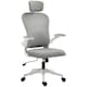 image 6 of HOMCOM Ergonomic Mesh Office Chair with Headrest, Lumbar Support, Grey