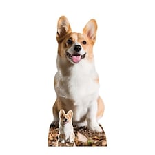 Cute Corgi Dog Lifesize Cardboard Cutout 76cm