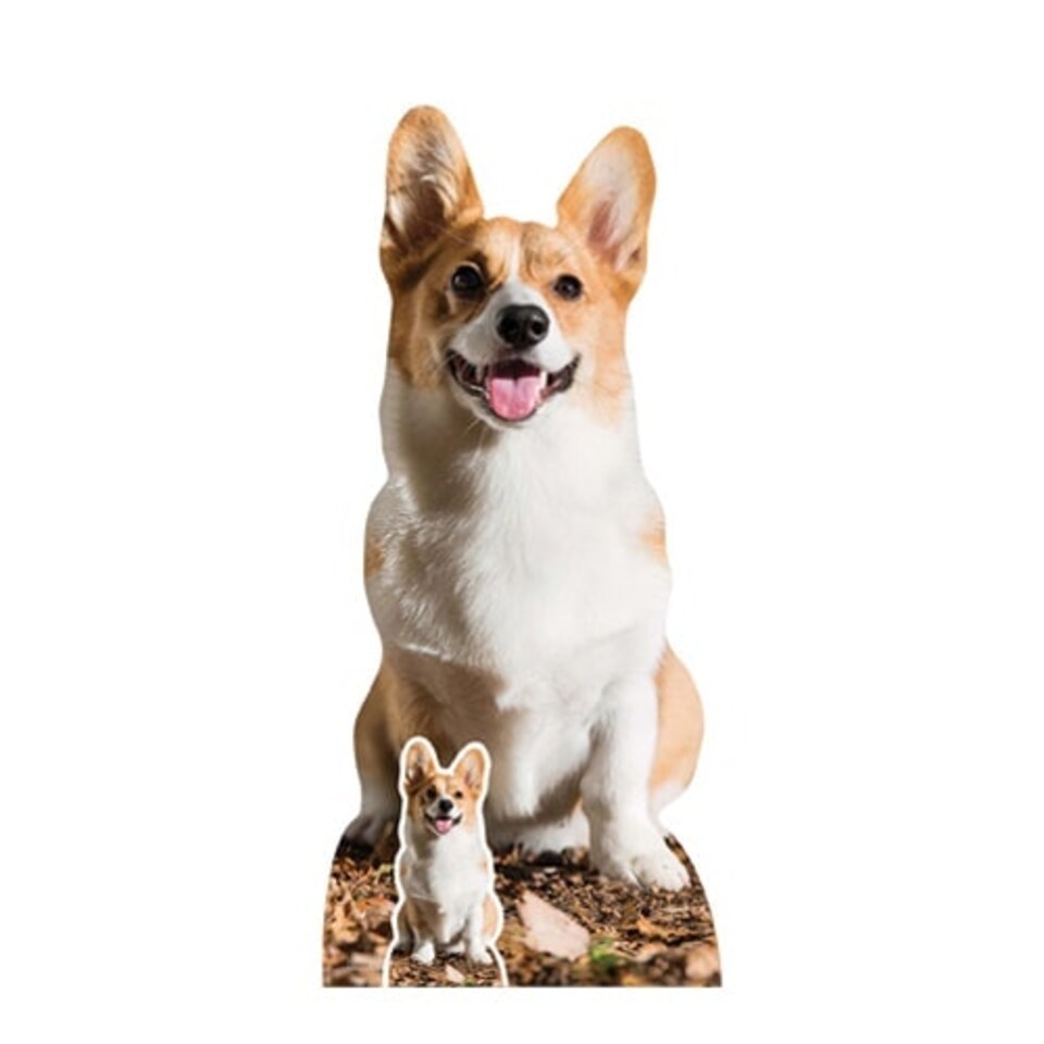 Cute Corgi Dog Lifesize Cardboard Cutout 76cm
