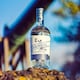 image 9 of Edinburgh Cannonball Gin