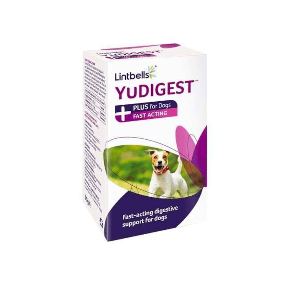 image 1 of Lintbells YuDIGEST Sachets