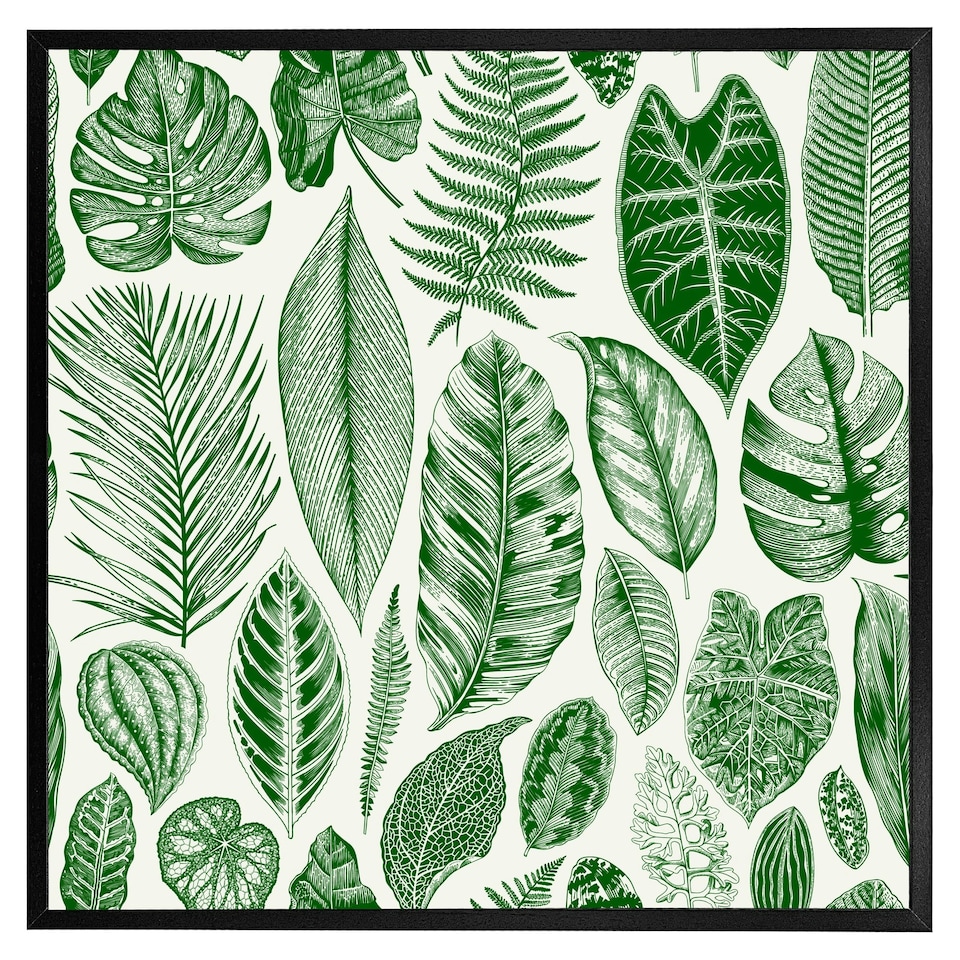 image 1 of Leaves mixed (Picture Frame) White | XS