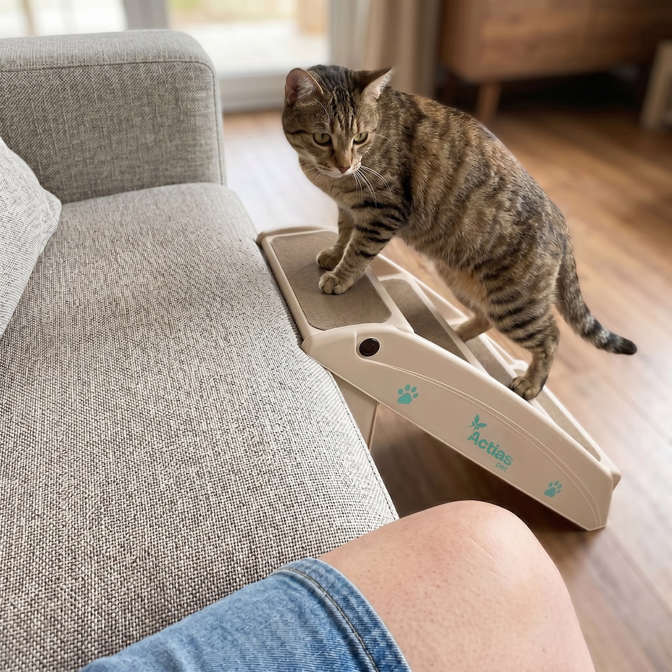 image 1 of Lightweight Folding Pet Stairs Beige