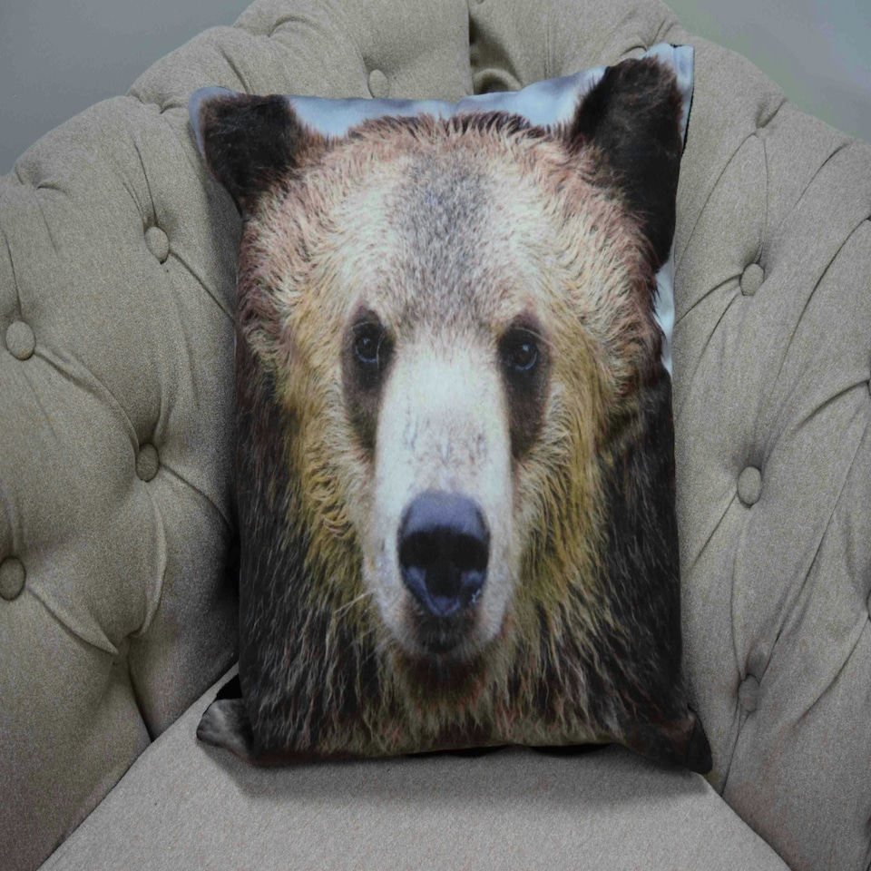 image 1 of Muller Cushion Cover with Cusion Pads (43x43 cm) Multi Multi