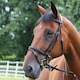 image 2 of Gallop Equestrian Padded Bridle + Rubber Reins Black | Size: Shetland Pony
Colour: Black
