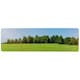 image 1 of Beauty landscape of grass field with forest trees and environment public park with sun rays Designer (Runner Rug)