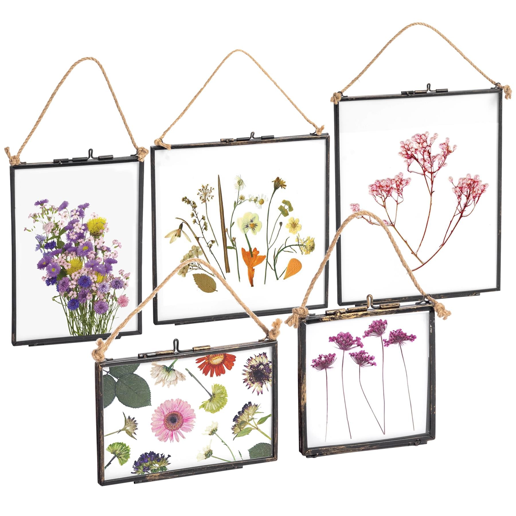 Nicola Spring 5pc Hanging Metal Photo Frames Gallery Set - Black - Picture Frame Wall Mounted Frame with Rope