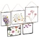 image 1 of Nicola Spring Hanging Metal Photo Frames Gallery Set - 5 Sizes - Black | Black | Black | One Size