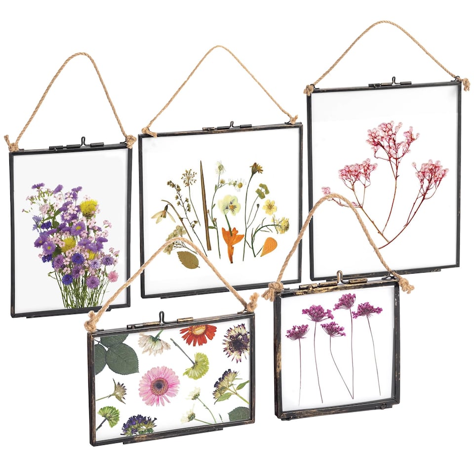 image 1 of Nicola Spring Hanging Metal Photo Frames Gallery Set - 5 Sizes - Black | Black | Black | One Size