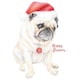 image 1 of Deckled Edge Happy Pugmas Christmas Card - Brown/Grey/Red - One Size